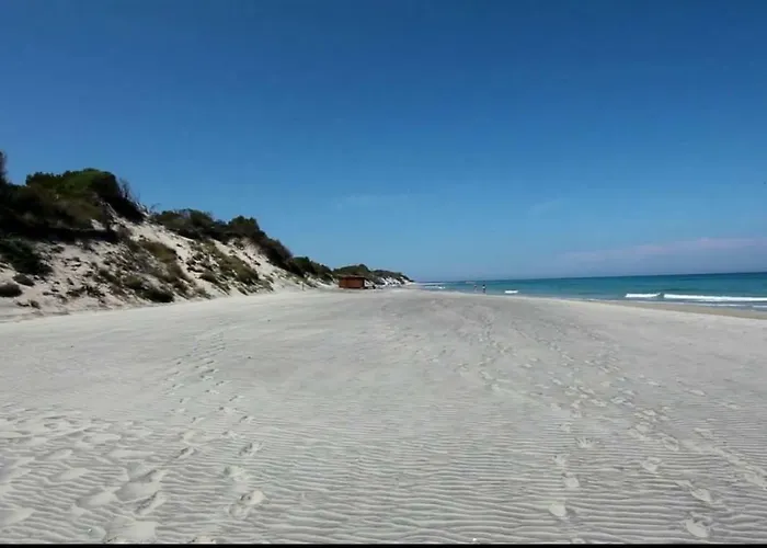 شقة Molto Benissimo *